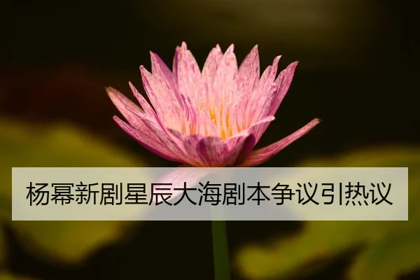 yang-mi-xin-ju-xing-chen-da-hai-ju-ben-zheng-yi-yin-re-yi-2-885.jpg