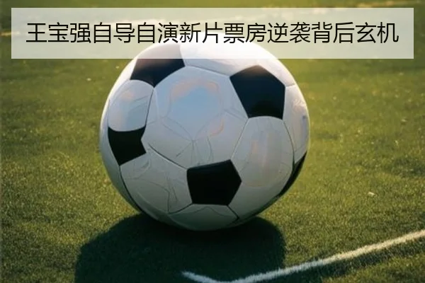 王宝强自导自演新片票房逆袭背后玄机
